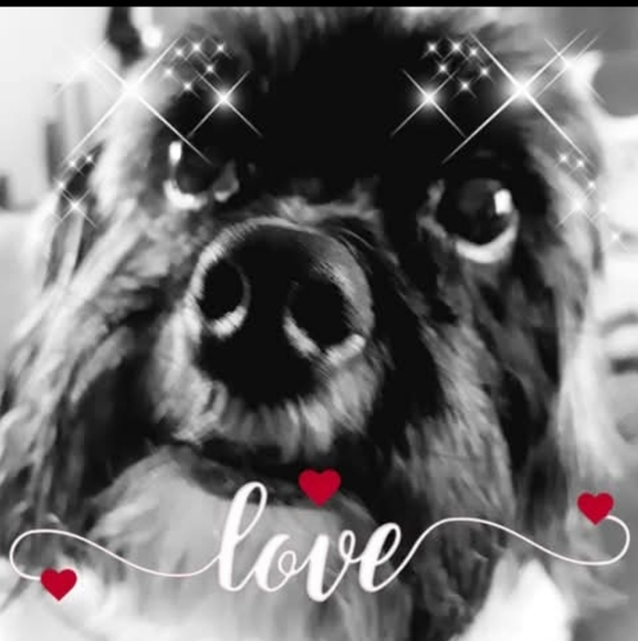 Meet your Posher, Christina - Picture 3 of 4